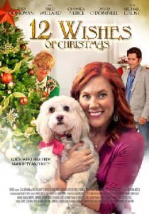 12 Wishes of Christmas (2011) ταινιες online seires xrysoi greek subs
